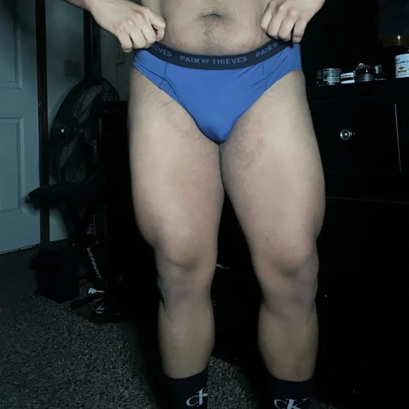 Men's- Pair of Thieves Microfiber Brief - Picture 3 of 3